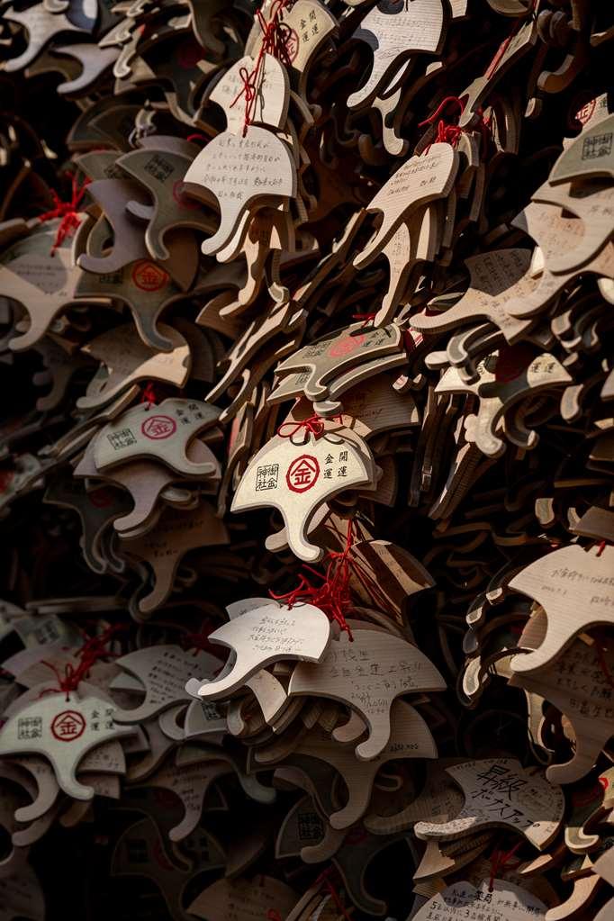 Garrya Nijo Castle *